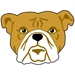 Bulldog