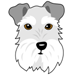Schnauzer