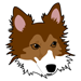 Shetland Sheepdog